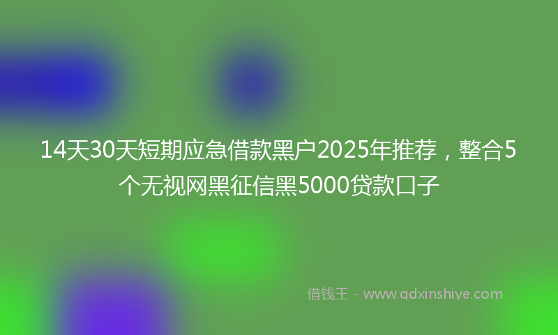 14天30天短期应急借款黑户2025年推荐，整合5个无视网黑征信黑5000贷款口子