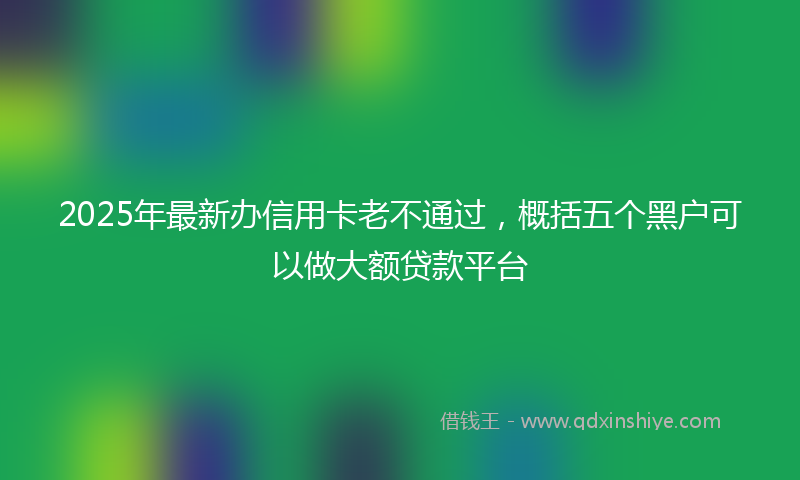 2025年最新办信用卡老不通过，概括五个黑户可以做大额贷款平台