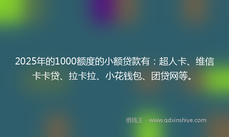 2025年的1000额度的小额贷款有：超人卡、维信卡卡贷、拉卡拉、小花钱包、团贷网等。