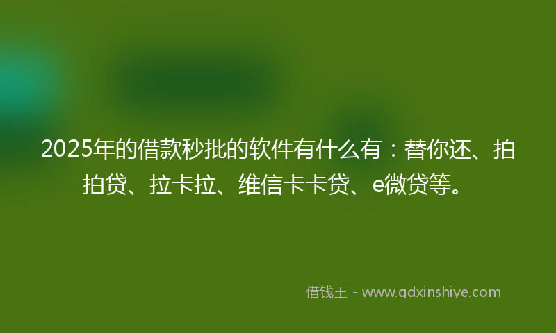 2025年的借款秒批的软件有什么有：替你还、拍拍贷、拉卡拉、维信卡卡贷、e微贷等。