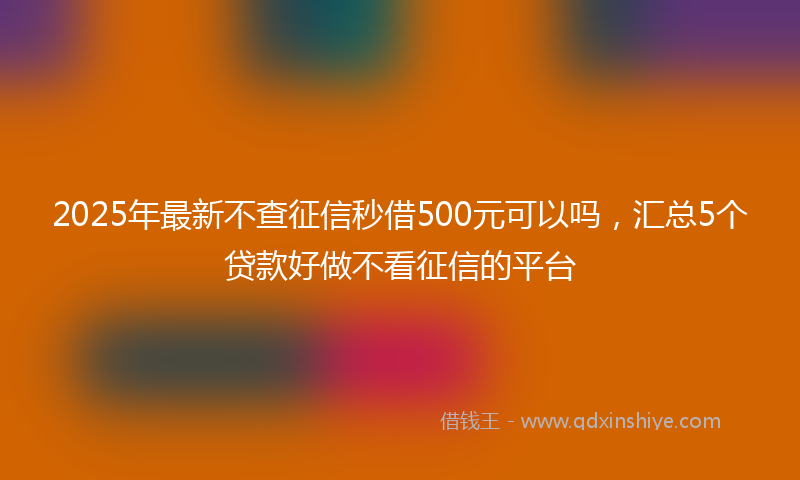 2025年最新不查征信秒借500元可以吗，汇总5个贷款好做不看征信的平台