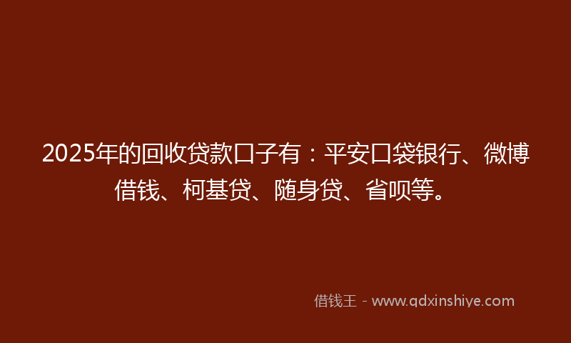 2025年的回收贷款口子有：平安口袋银行、微博借钱、柯基贷、随身贷、省呗等。