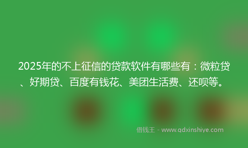 2025年的不上征信的贷款软件有哪些有：微粒贷、好期贷、百度有钱花、美团生活费、还呗等。