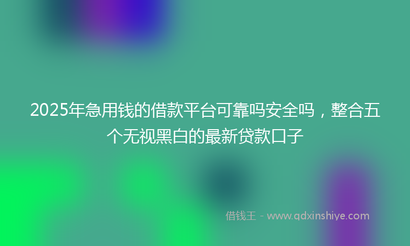 2025年急用钱的借款平台可靠吗安全吗，整合五个无视黑白的最新贷款口子