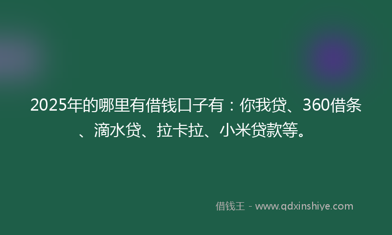 2025年的哪里有借钱口子有：你我贷、360借条、滴水贷、拉卡拉、小米贷款等。