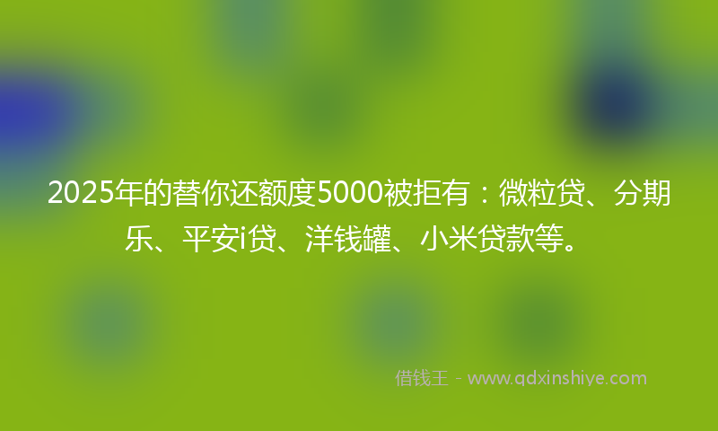 2025年的替你还额度5000被拒有：微粒贷、分期乐、平安i贷、洋钱罐、小米贷款等。