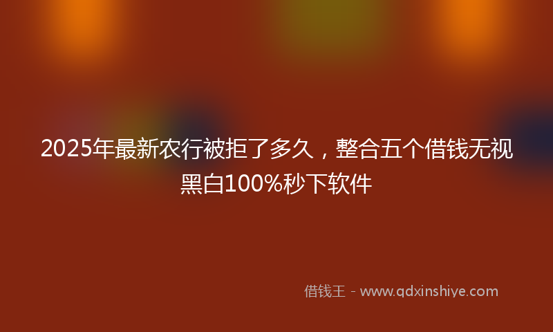 2025年最新农行被拒了多久，整合五个借钱无视黑白100%秒下软件