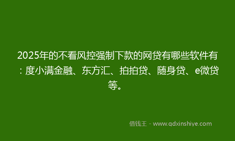 2025年的不看风控强制下款的网贷有哪些软件有：度小满金融、东方汇、拍拍贷、随身贷、e微贷等。