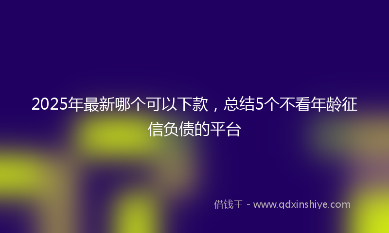 2025年最新哪个可以下款，总结5个不看年龄征信负债的平台