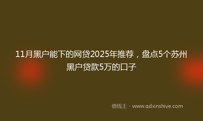 11月黑户能下的网贷2025年推荐，盘点5个苏州黑户贷款5万的口子