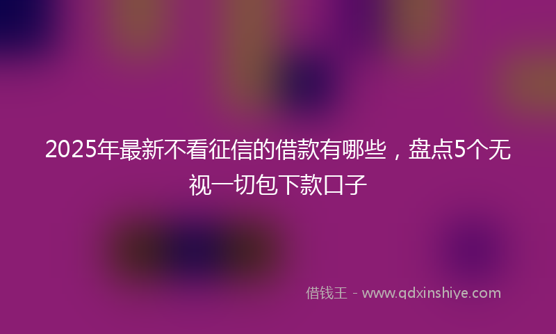 2025年最新不看征信的借款有哪些，盘点5个无视一切包下款口子