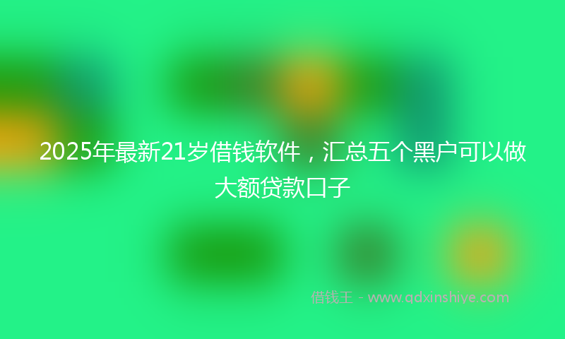 2025年最新21岁借钱软件，汇总五个黑户可以做大额贷款口子