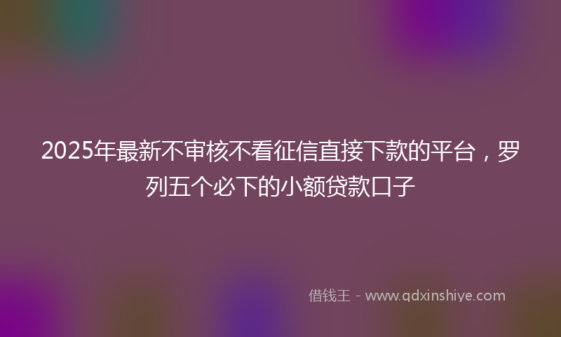 2025年最新不审核不看征信直接下款的平台，罗列五个必下的小额贷款口子