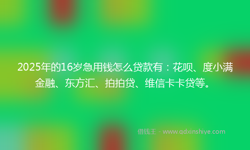 2025年的16岁急用钱怎么贷款有：花呗、度小满金融、东方汇、拍拍贷、维信卡卡贷等。