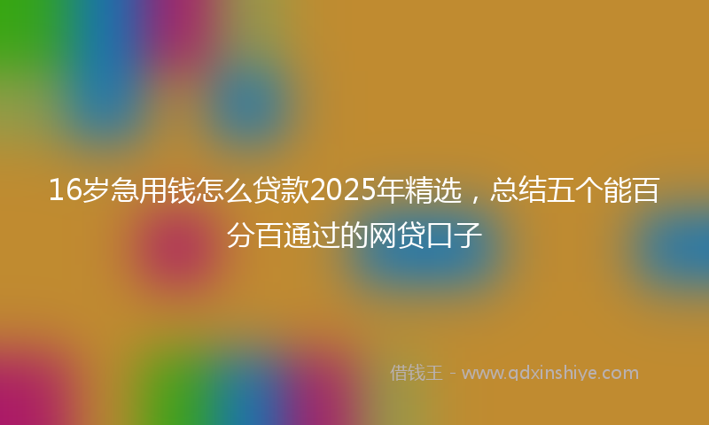 16岁急用钱怎么贷款2025年精选，总结五个能百分百通过的网贷口子