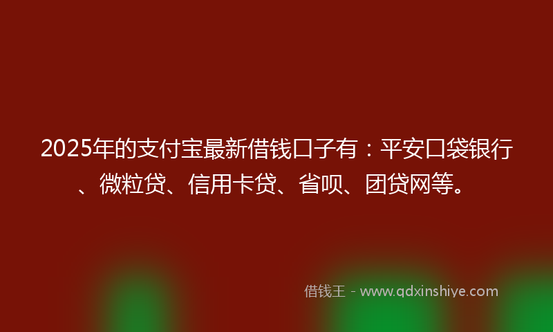 2025年的支付宝最新借钱口子有：平安口袋银行、微粒贷、信用卡贷、省呗、团贷网等。