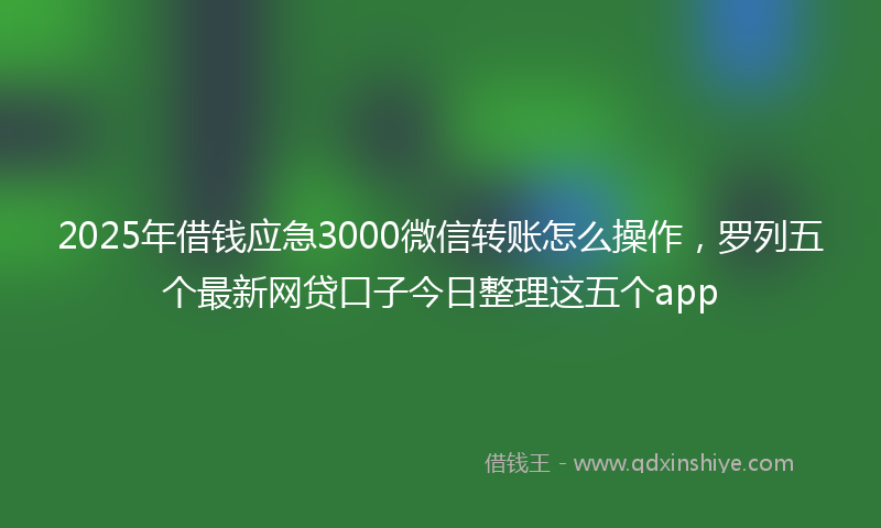 2025年借钱应急3000微信转账怎么操作，罗列五个最新网贷口子今日整理这五个app