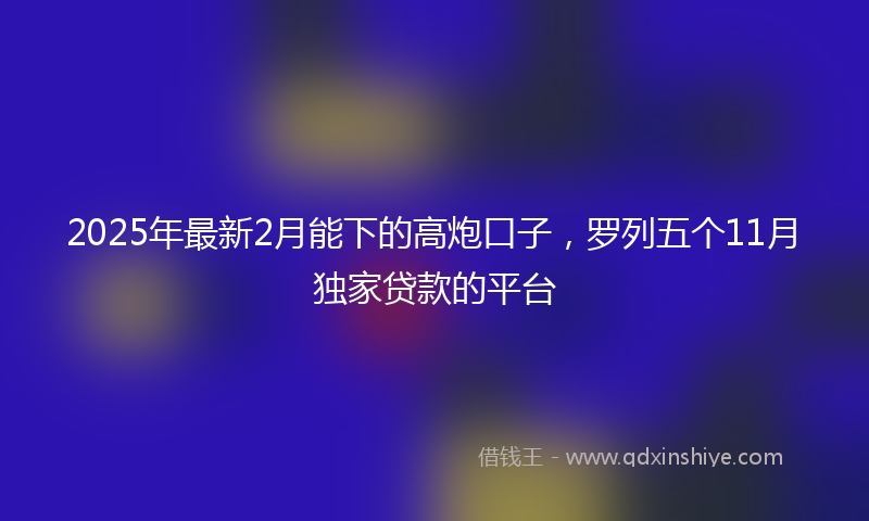 2025年最新2月能下的高炮口子，罗列五个11月独家贷款的平台