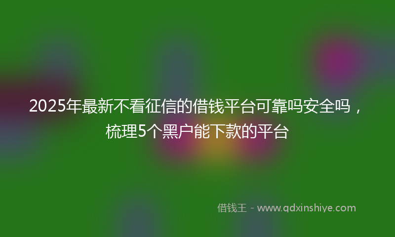 2025年最新不看征信的借钱平台可靠吗安全吗，梳理5个黑户能下款的平台