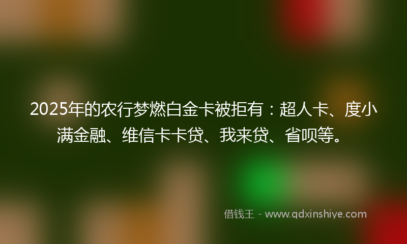 2025年的农行梦燃白金卡被拒有：超人卡、度小满金融、维信卡卡贷、我来贷、省呗等。