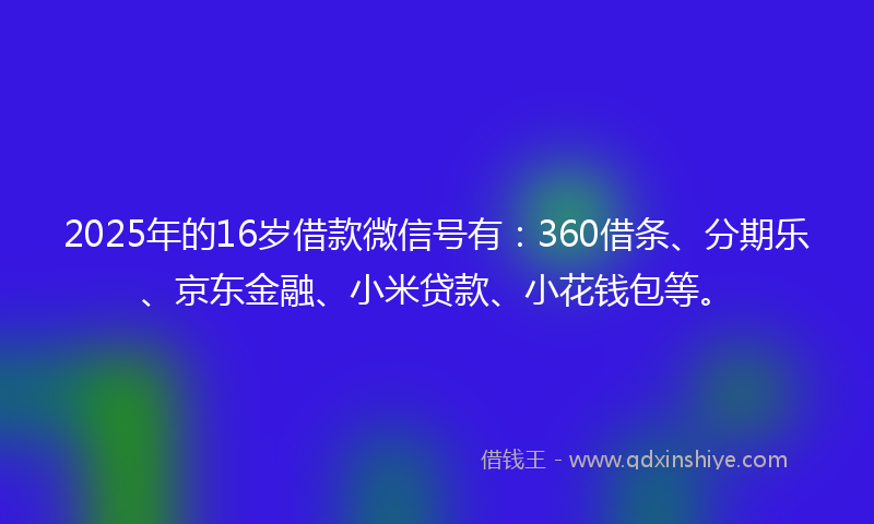 2025年的16岁借款微信号有：360借条、分期乐、京东金融、小米贷款、小花钱包等。