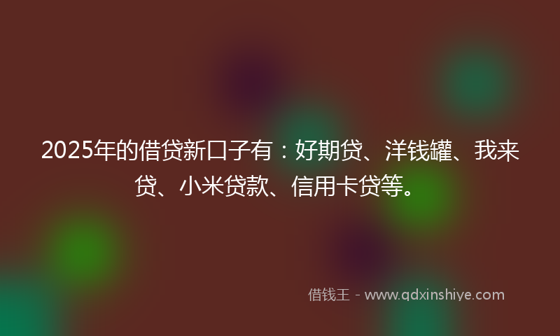 2025年的借贷新口子有：好期贷、洋钱罐、我来贷、小米贷款、信用卡贷等。