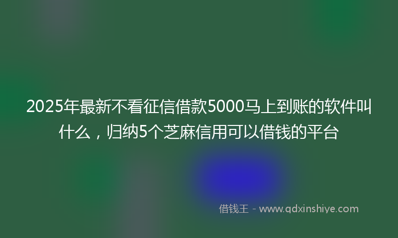 2025年最新不看征信借款5000马上到账的软件叫什么，归纳5个芝麻信用可以借钱的平台