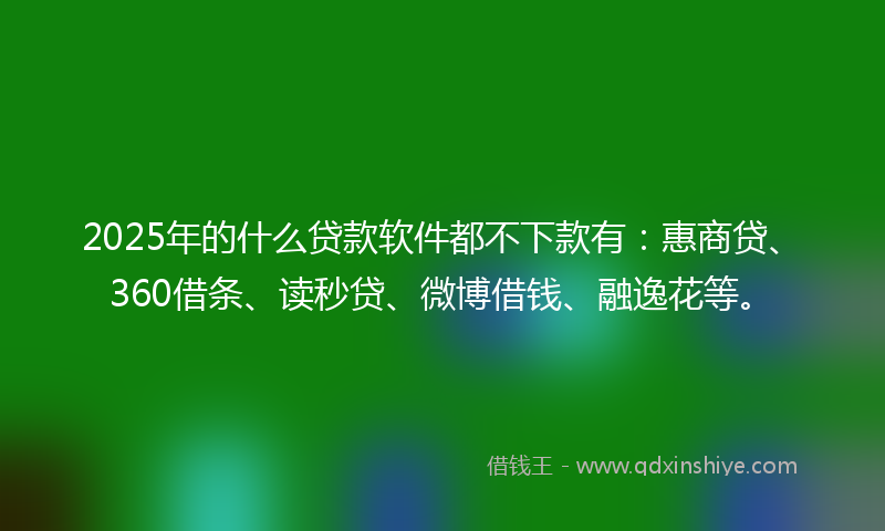 2025年的什么贷款软件都不下款有：惠商贷、360借条、读秒贷、微博借钱、融逸花等。