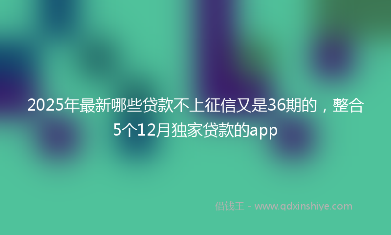 2025年最新哪些贷款不上征信又是36期的，整合5个12月独家贷款的app