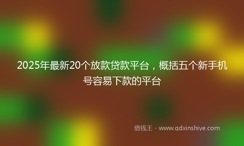 2025年最新20个放款贷款平台，概括五个新手机号容易下款的平台
