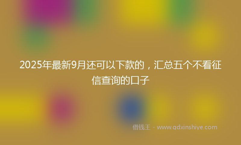 2025年最新9月还可以下款的，汇总五个不看征信查询的口子