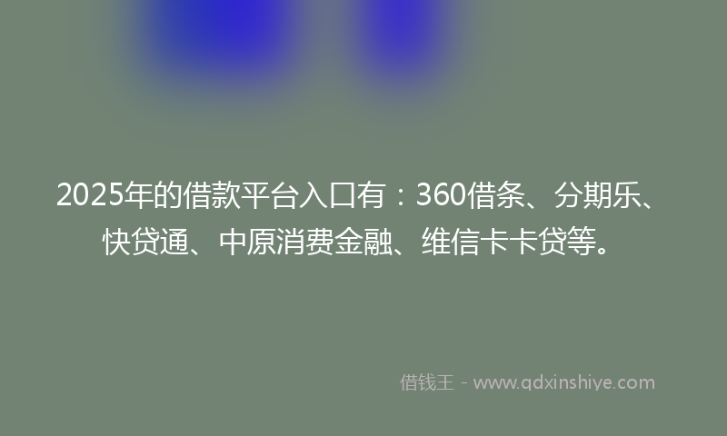 2025年的借款平台入口有：360借条、分期乐、快贷通、中原消费金融、维信卡卡贷等。