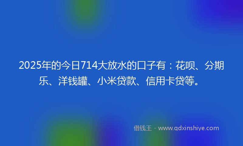 2025年的今日714大放水的口子有：花呗、分期乐、洋钱罐、小米贷款、信用卡贷等。