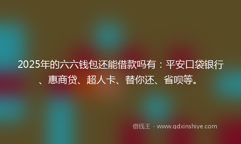 2025年的六六钱包还能借款吗有：平安口袋银行、惠商贷、超人卡、替你还、省呗等。