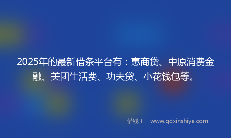 2025年的最新借条平台有：惠商贷、中原消费金融、美团生活费、功夫贷、小花钱包等。