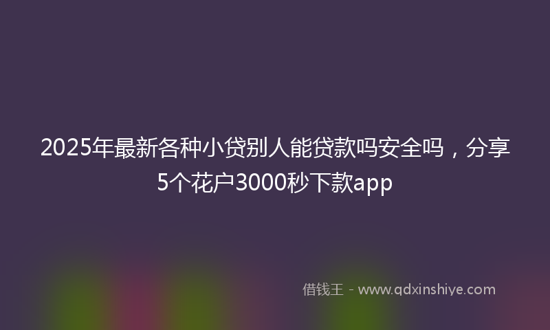2025年最新各种小贷别人能贷款吗安全吗，分享5个花户3000秒下款app