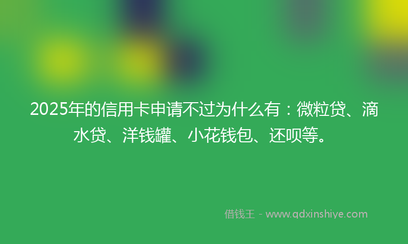 2025年的信用卡申请不过为什么有：微粒贷、滴水贷、洋钱罐、小花钱包、还呗等。