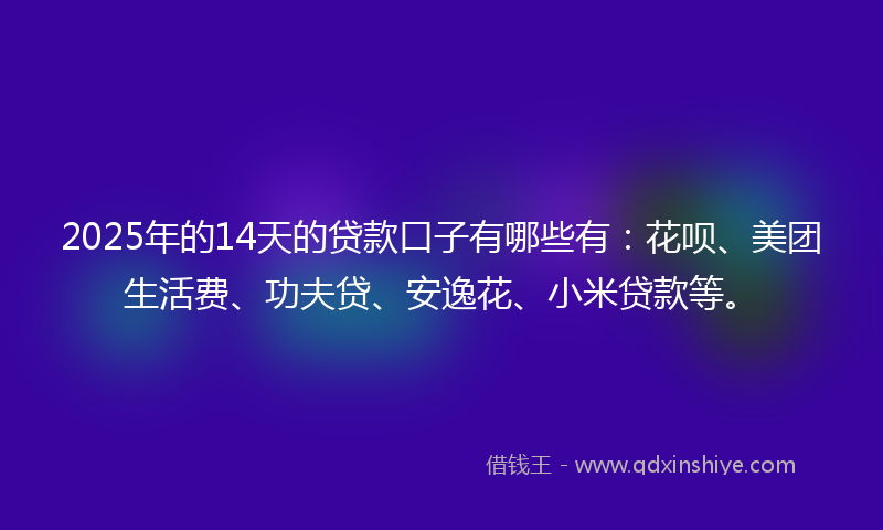 2025年的14天的贷款口子有哪些有：花呗、美团生活费、功夫贷、安逸花、小米贷款等。