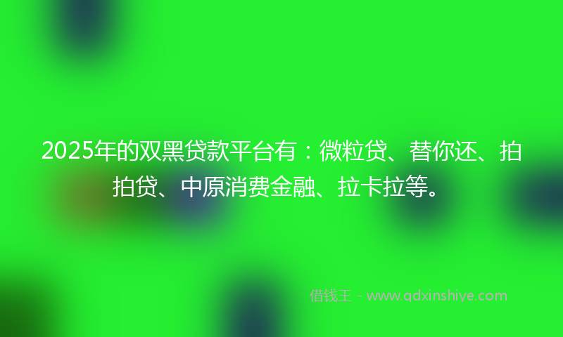 2025年的双黑贷款平台有：微粒贷、替你还、拍拍贷、中原消费金融、拉卡拉等。