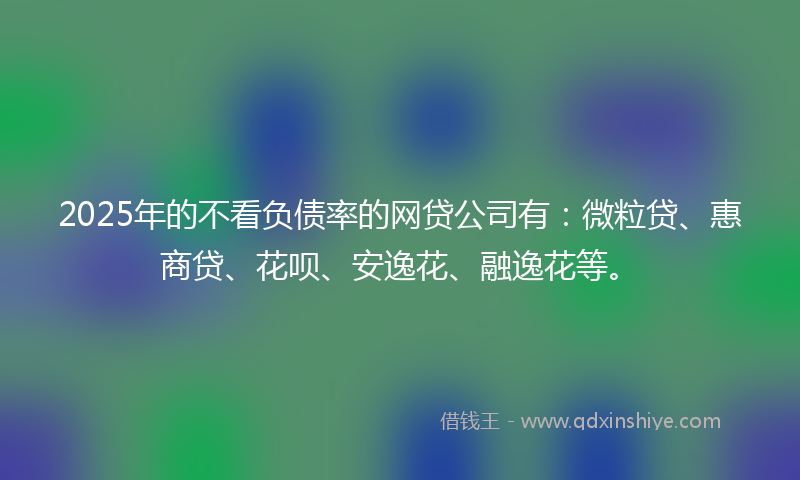 2025年的不看负债率的网贷公司有：微粒贷、惠商贷、花呗、安逸花、融逸花等。