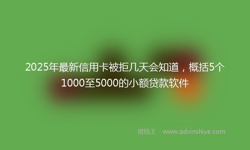 2025年最新信用卡被拒几天会知道，概括5个1000至5000的小额贷款软件