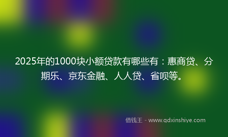2025年的1000块小额贷款有哪些有：惠商贷、分期乐、京东金融、人人贷、省呗等。
