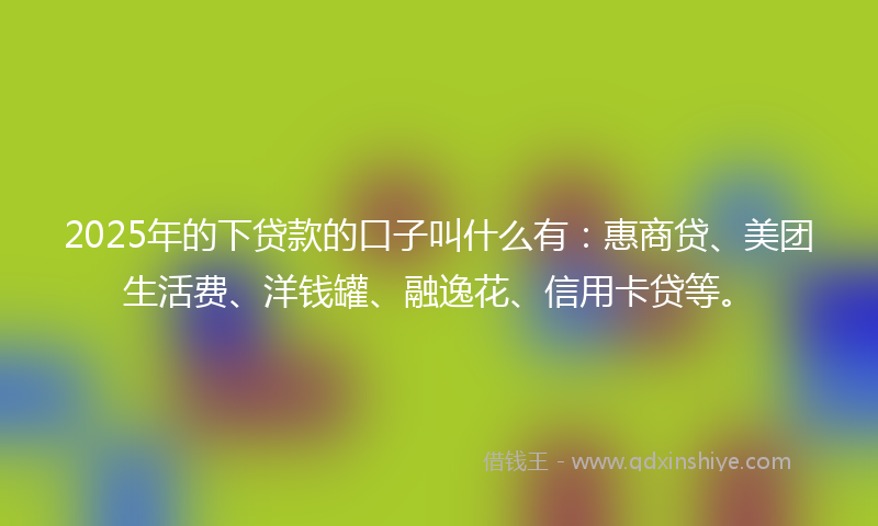 2025年的下贷款的口子叫什么有：惠商贷、美团生活费、洋钱罐、融逸花、信用卡贷等。