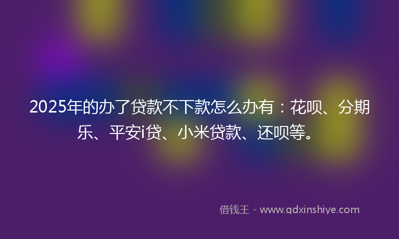 2025年的办了贷款不下款怎么办有：花呗、分期乐、平安i贷、小米贷款、还呗等。