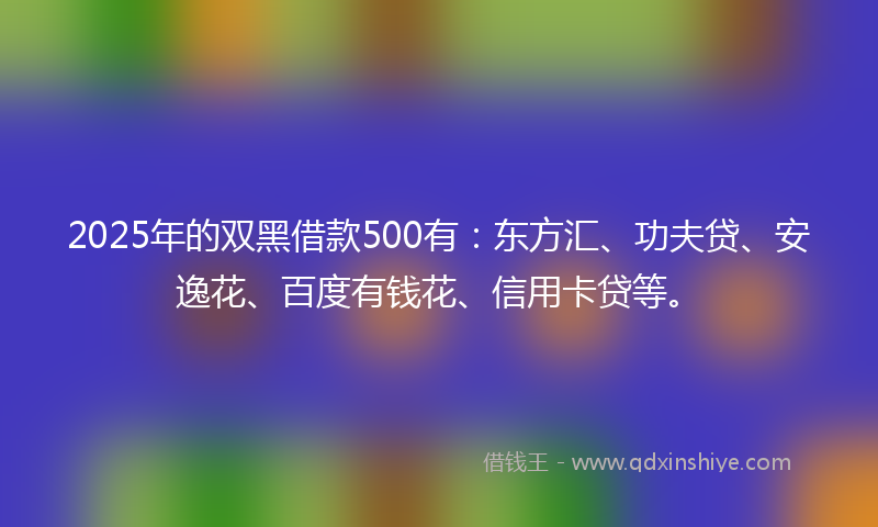 2025年的双黑借款500有：东方汇、功夫贷、安逸花、百度有钱花、信用卡贷等。