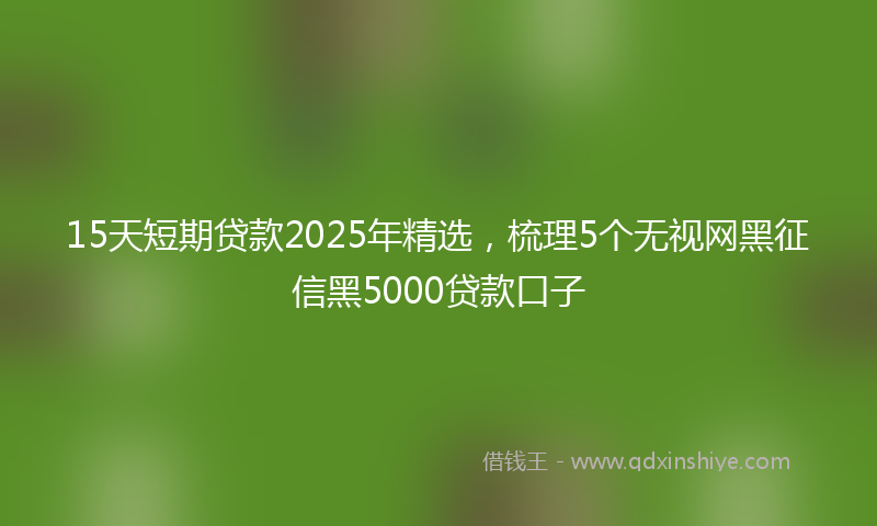 15天短期贷款2025年精选，梳理5个无视网黑征信黑5000贷款口子