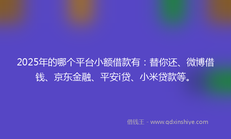 2025年的哪个平台小额借款有：替你还、微博借钱、京东金融、平安i贷、小米贷款等。