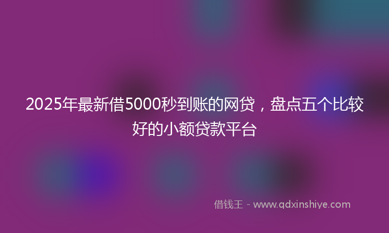 2025年最新借5000秒到账的网贷，盘点五个比较好的小额贷款平台