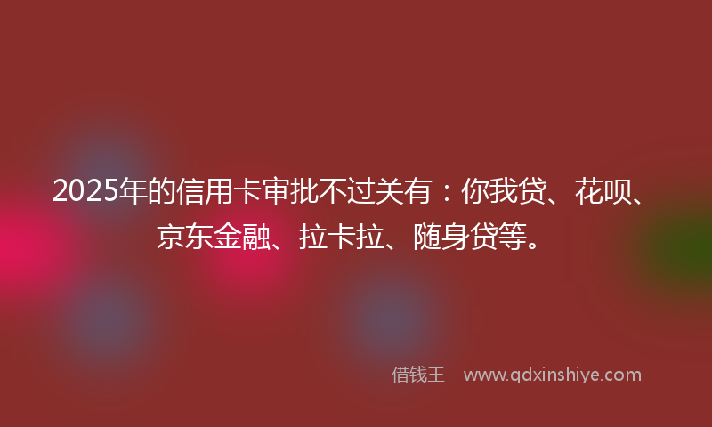 2025年的信用卡审批不过关有：你我贷、花呗、京东金融、拉卡拉、随身贷等。