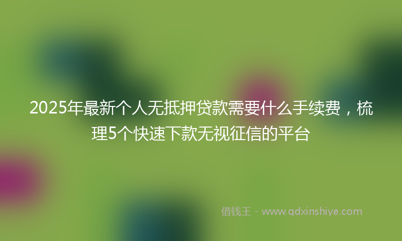 2025年最新个人无抵押贷款需要什么手续费，梳理5个快速下款无视征信的平台
